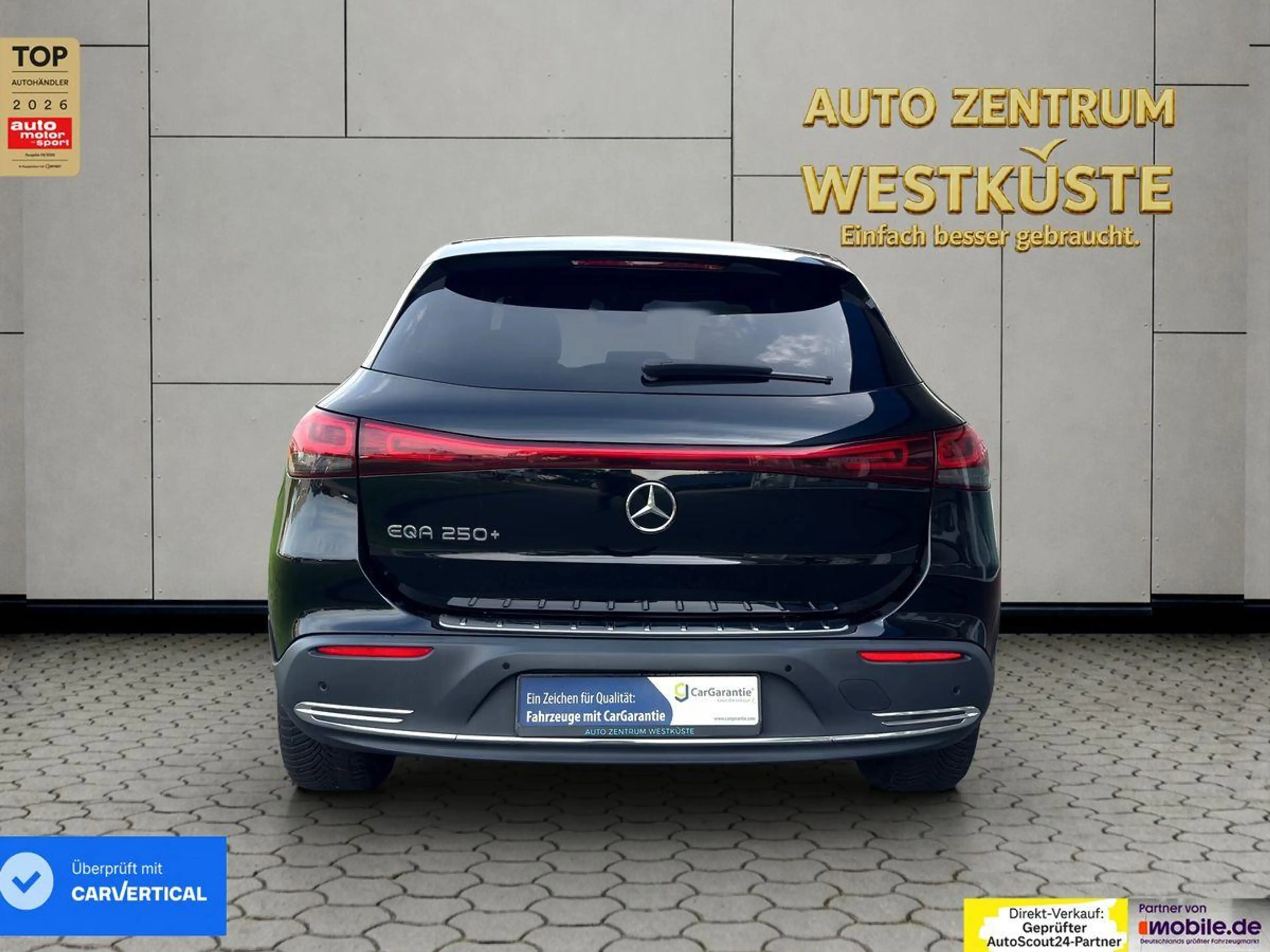 Mercedes-Benz EQA 250+ ElectricArt Navi Kamera SOH98 % 70,5 kWh — photo 8
