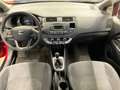 Kia Rio 1.2 ACTIVE 5P Rouge - thumbnail 8