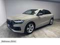 Audi Q8 55 TFSIe quattro S-line Alcantarahimmel Klima Beige - thumbnail 1