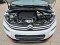 Citroen C3 Shine Weiß - thumbnail 10