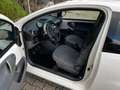 Citroen C1 1.0-12V Ambiance Weiß - thumbnail 7