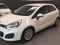 Kia Rio Rio III 2013 5p 1.1 crdi EX Plus Bianco - thumbnail 2