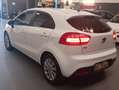 Kia Rio Rio III 2013 5p 1.1 crdi EX Plus Bianco - thumbnail 4