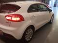 Kia Rio Rio III 2013 5p 1.1 crdi EX Plus Bianco - thumbnail 5