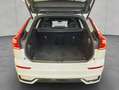 Volvo XC60 XC60 B4 R-Design Aut HeadUp Standh 360° Nappaleder Weiß - thumbnail 5