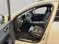 Volvo XC60 XC60 B4 R-Design Aut HeadUp Standh 360° Nappaleder Weiß - thumbnail 10