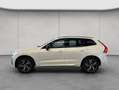 Volvo XC60 XC60 B4 R-Design Aut HeadUp Standh 360° Nappaleder Weiß - thumbnail 2