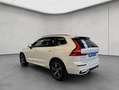 Volvo XC60 XC60 B4 R-Design Aut HeadUp Standh 360° Nappaleder Weiß - thumbnail 3