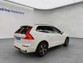 Volvo XC60 XC60 B4 R-Design Aut HeadUp Standh 360° Nappaleder Weiß - thumbnail 6