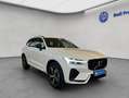 Volvo XC60 XC60 B4 R-Design Aut HeadUp Standh 360° Nappaleder Weiß - thumbnail 8