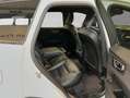 Volvo XC60 XC60 B4 R-Design Aut HeadUp Standh 360° Nappaleder Weiß - thumbnail 21