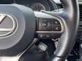 Lexus RX 450h RX 450 Gri - thumbnail 14