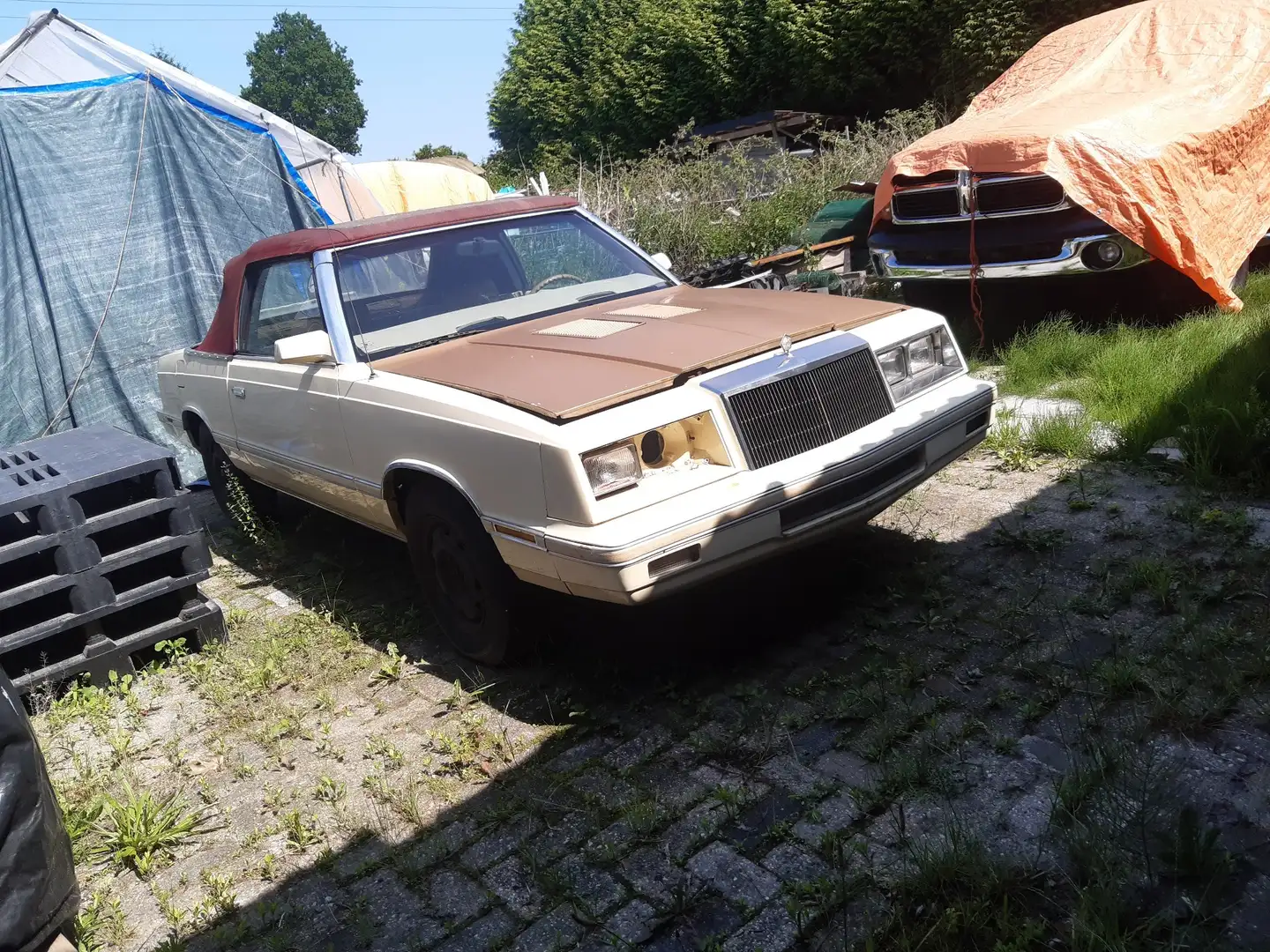 Chrysler Le Baron Bej - 2