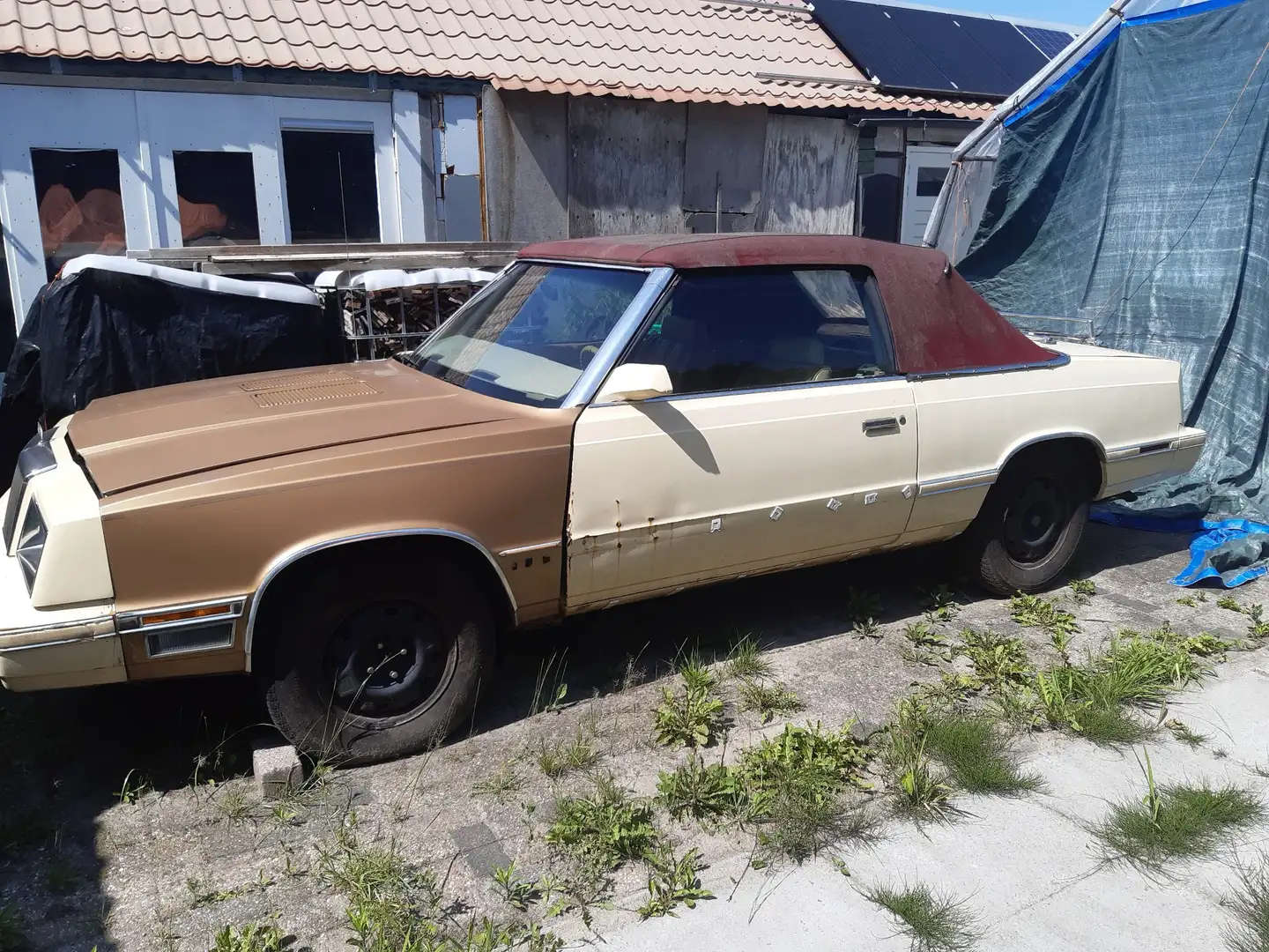 Chrysler Le Baron Bej - 1