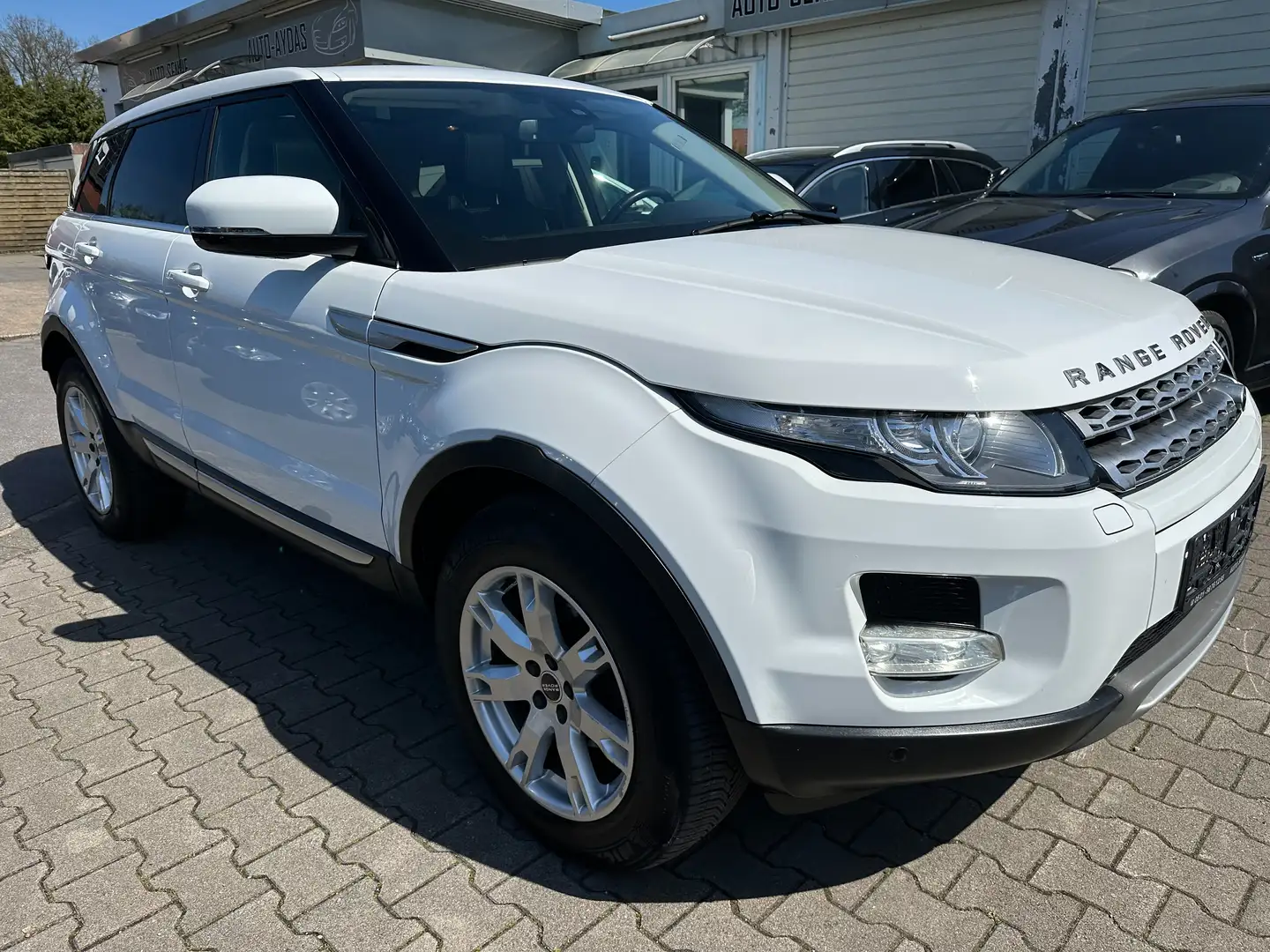Land Rover Range Rover Evoque SD4 Aut Pure~Navi~Leder~Xenon~Panoramadach Weiß - 2