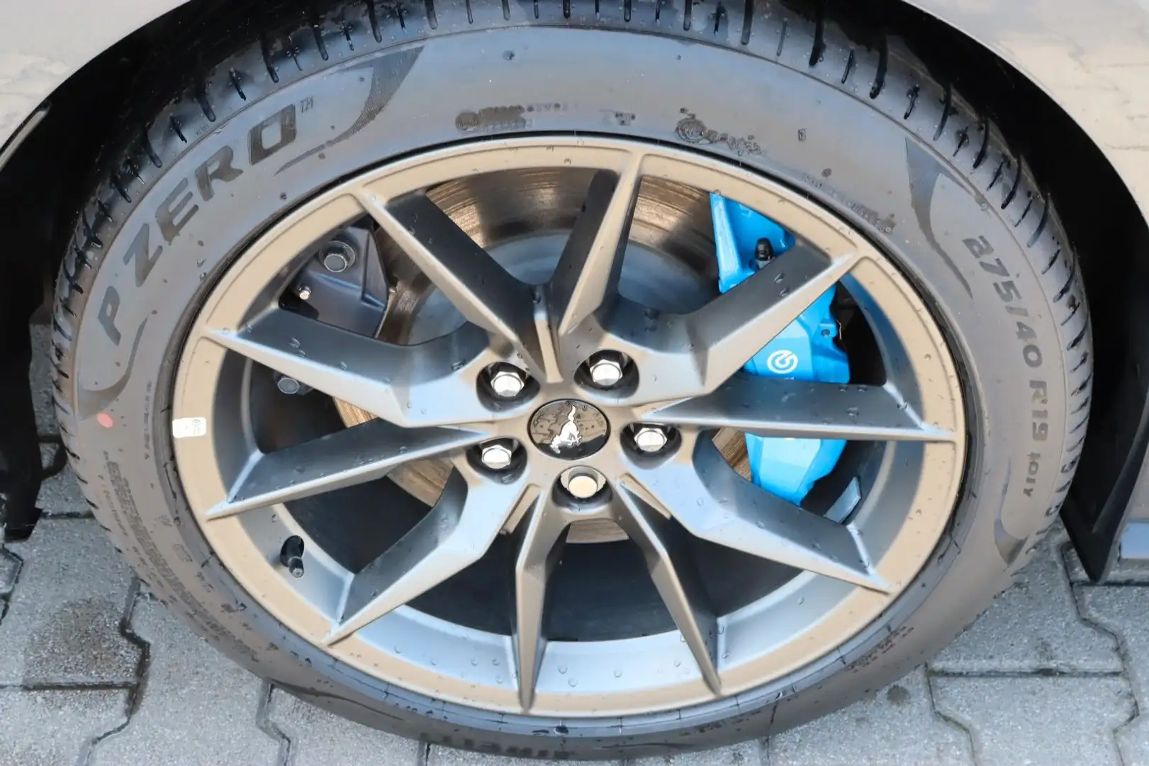 Ford Mustang Dark Horse Fahrwerk MagneRide 4,99 FIN* Grau - 2