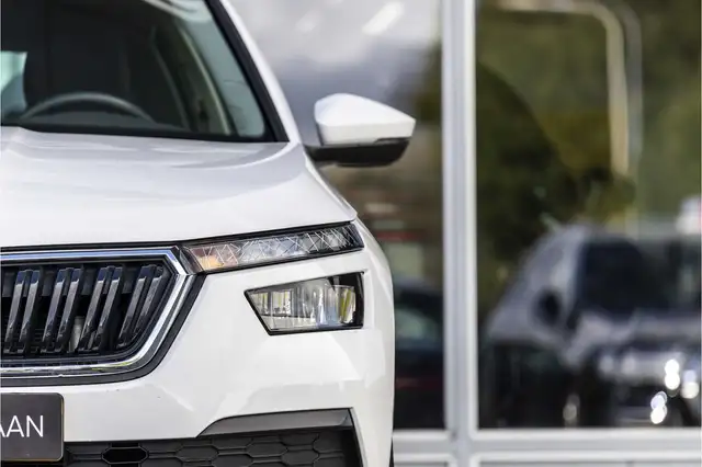 Skoda Kamiq view 18
