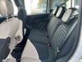 Fiat Panda 1.0 GSE Hybrid Blanc - thumbnail 11