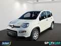 Fiat Panda 1.0 GSE Hybrid Blanc - thumbnail 1