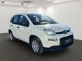 Fiat Panda 1.0 GSE Hybrid Blanc - thumbnail 2