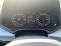 SEAT Ibiza Style 1.0 TSI*Allwetterreifen* Wit - thumbnail 17