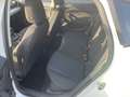 SEAT Ibiza Style 1.0 TSI*Allwetterreifen* Wit - thumbnail 13