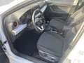 SEAT Ibiza Style 1.0 TSI*Allwetterreifen* Wit - thumbnail 12