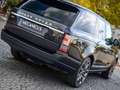Land Rover Range Rover Range Rover SDV8 *Autobiography SWB* Gris - thumbnail 13