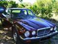 Jaguar XJ6 4.2 Фіолетовий - thumbnail 1