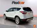 Ford Kuga 1.5 EcoB. Auto S&S Trend+ 4x2 120 Weiß - thumbnail 4