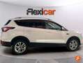 Ford Kuga 1.5 EcoB. Auto S&S Trend+ 4x2 120 Weiß - thumbnail 8
