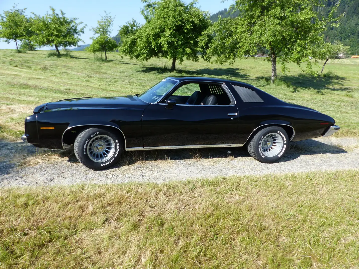 Pontiac Grand-Am Coupe Negro - 1