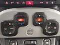Fiat Panda 1.0 firefly hybrid City Cross S&S Grigio - thumbnail 11