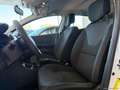 Renault Clio dCi 8V 75CV 5p. Moschino Zen Bianco - thumbnail 5