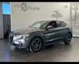 Alfa Romeo Stelvio 2.2 Turbodiesel 210 CV AT8 Q4 Veloce Grau - thumbnail 1