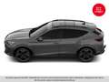 CUPRA Formentor VZ 2.0 TSI 310 PS DSG 4Drive Grau - thumbnail 10