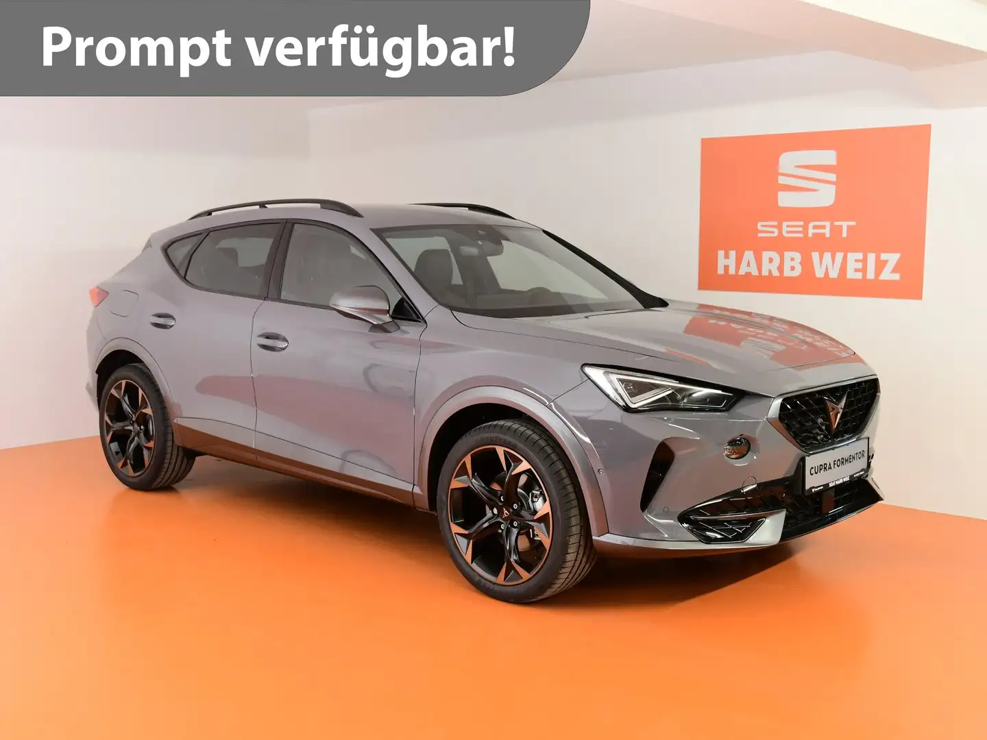 CUPRA Formentor VZ 2.0 TSI 310 PS DSG 4Drive Grau - 1
