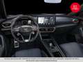 CUPRA Formentor VZ 2.0 TSI 310 PS DSG 4Drive Grau - thumbnail 8