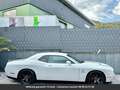 Dodge Challenger Pack SRT Tout compris hors homologation 4500e Blanc - thumbnail 10