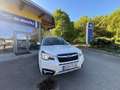 Subaru Forester Premium AWD Weiß - thumbnail 6