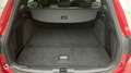 Ford Focus 1.0 EcoBoost mHEV 155ch ST-Line - thumbnail 14