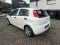 Fiat Grande Punto 1.2 8V Active / Tüv 06.2027 Weiß - thumbnail 7