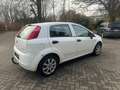 Fiat Grande Punto 1.2 8V Active / Tüv 06.2027 Weiß - thumbnail 5