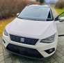 SEAT Arona Arona 1,0 Eco TSI Style Style Weiß - thumbnail 1