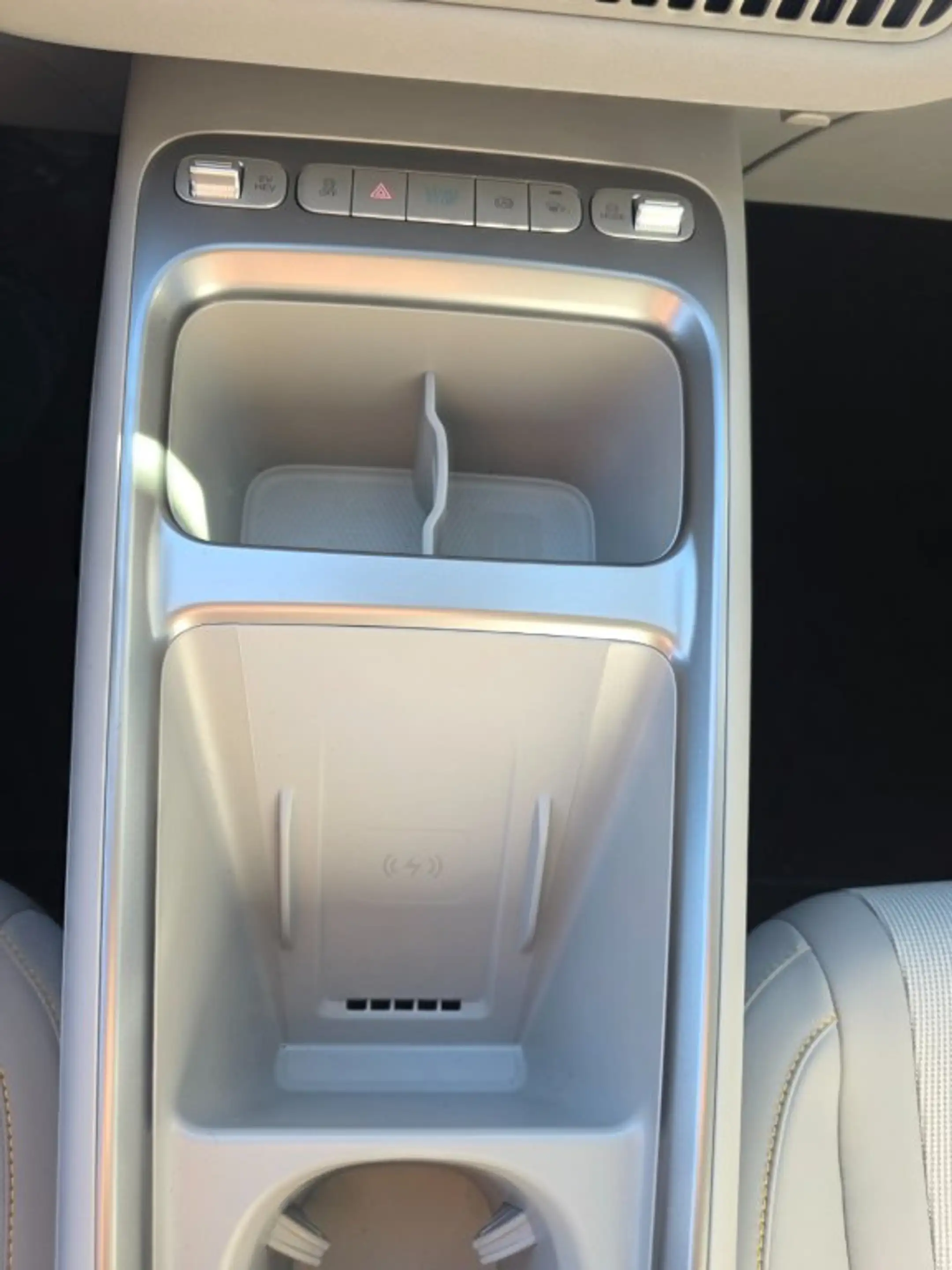 BYD Dolphin G DM-i Comfort — photo 13