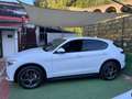 Alfa Romeo Stelvio Stelvio 2.2 Turbodiesel 190 CV AT8 Q4 Business Weiß - thumbnail 4