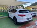 Alfa Romeo Stelvio Stelvio 2.2 Turbodiesel 190 CV AT8 Q4 Business Weiß - thumbnail 6