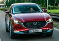 Mazda CX-30 2.5 e-Skyactiv-G Prime Line FWD 103kW Gris - thumbnail 4