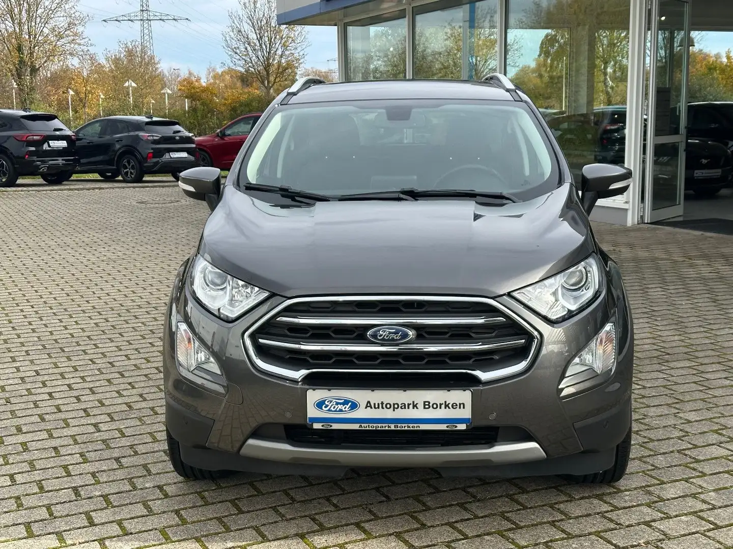 Ford EcoSport Titanium Winter Paket Design Paket - 2