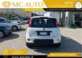 Fiat Panda 1.0 FireFly S&S Hybrid City Life PROMO CON FINANZI Gris - thumbnail 5